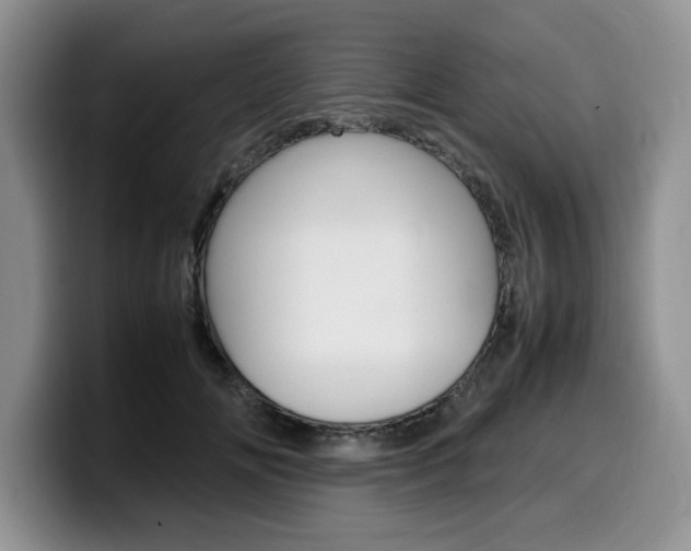 X0000100230702200805300725