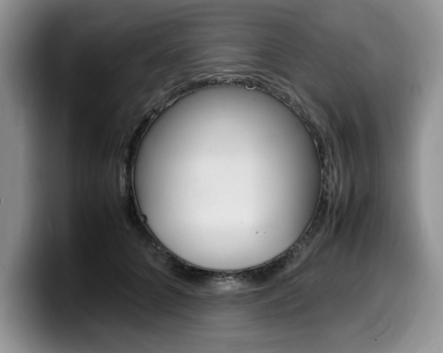 X0000100230704200805300725
