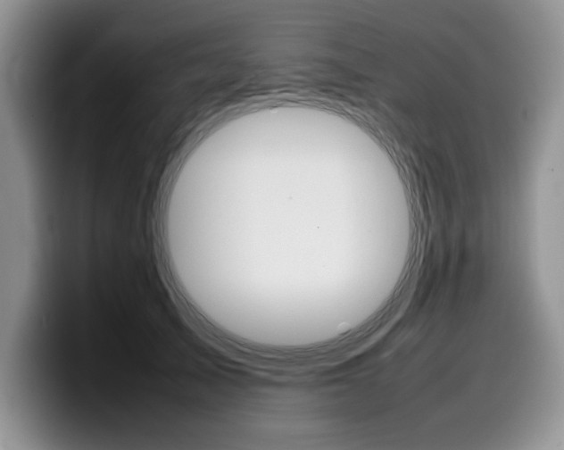 X0000100230705200805300725