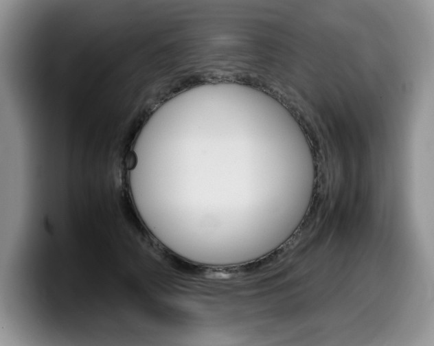 X0000100230706200805300725
