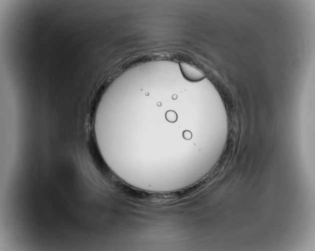 X0000100230707200805300725