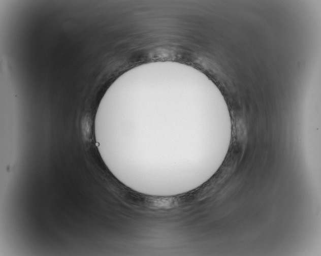 X0000100230709200805300725