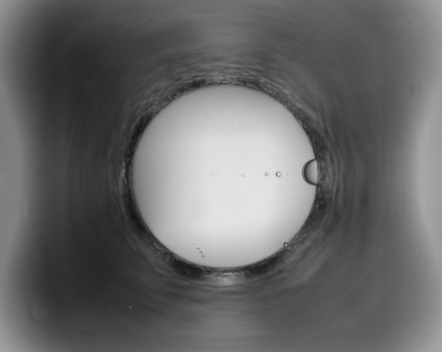 X0000100230711200805300725