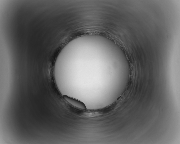 X0000100230712200805300725