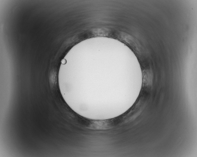 X0000100230713200805300725