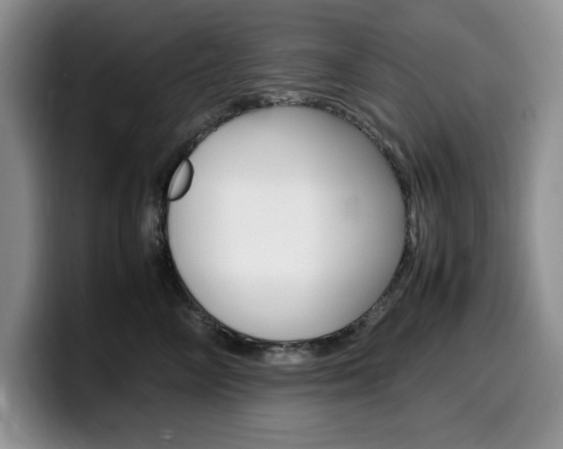 X0000100230714200805300725