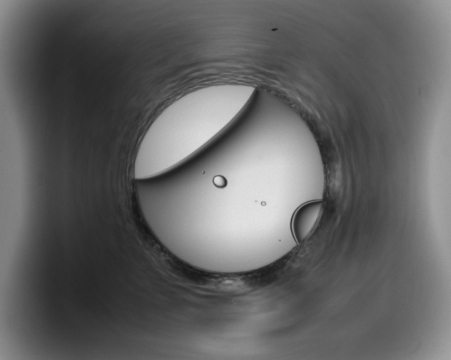 X0000100230715200805300725