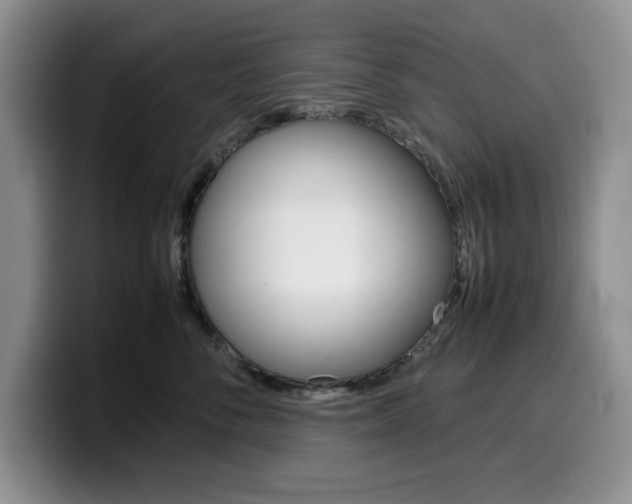 X0000100230716200805300725
