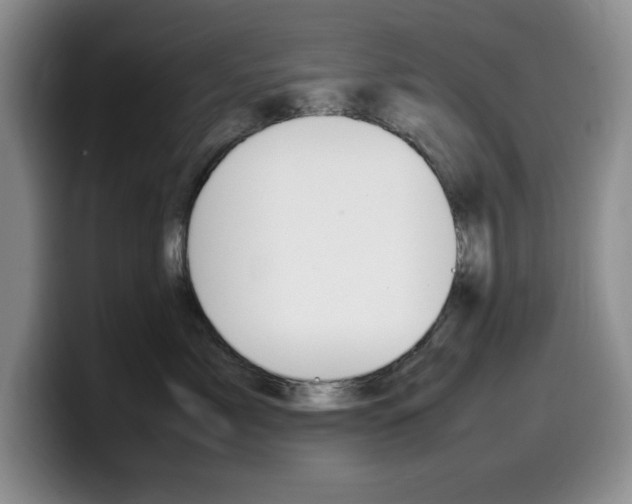 X0000100230717200805300725