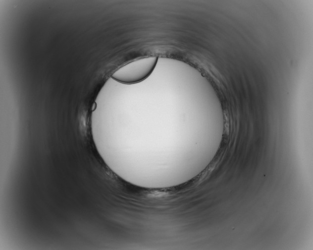 X0000100230718200805300725