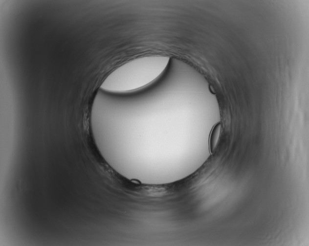 X0000100230719200805300725