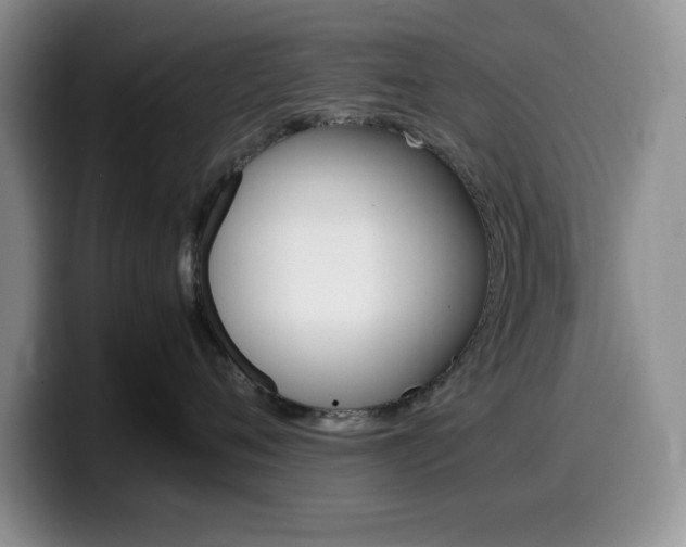 X0000100230720200805300725