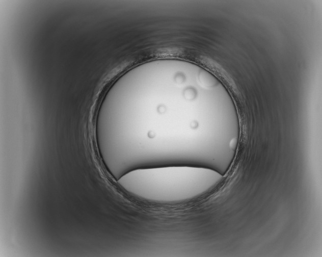 X0000100230721200805300724