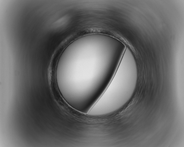 X0000100230722200805300724