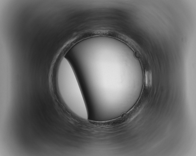 X0000100230723200805300724