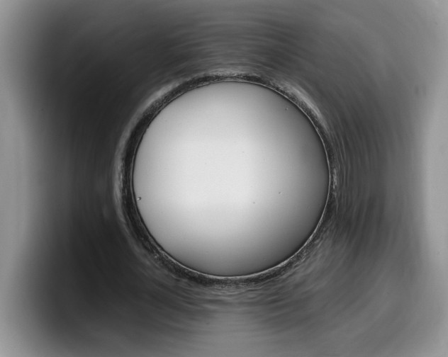 X0000100230724200805300724