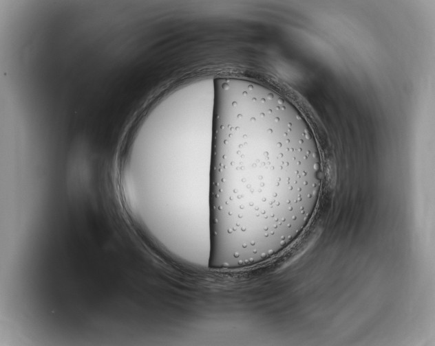 X0000100230725200805300724