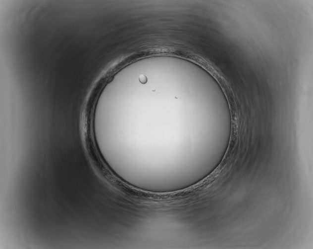 X0000100230726200805300724