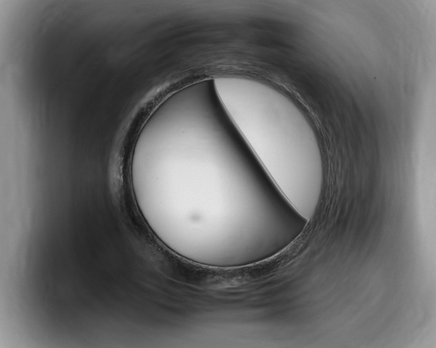 X0000100230727200805300724