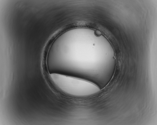 X0000100230728200805300724