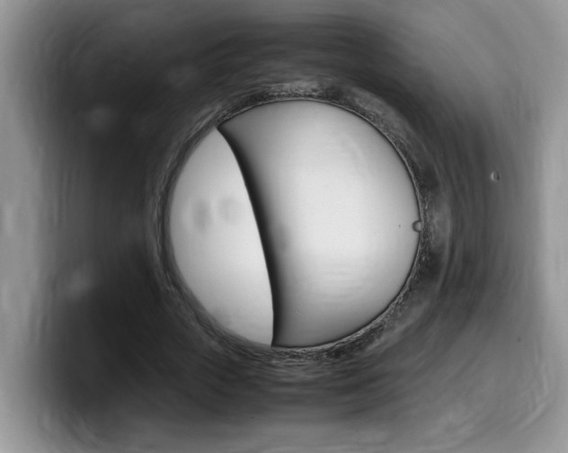 X0000100230729200805300724