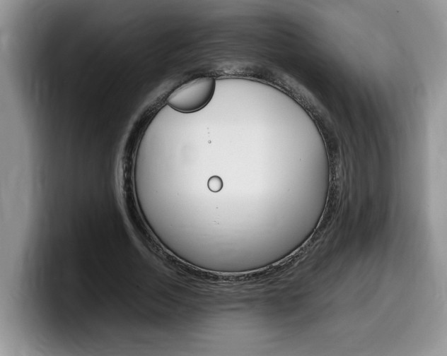 X0000100230730200805300724