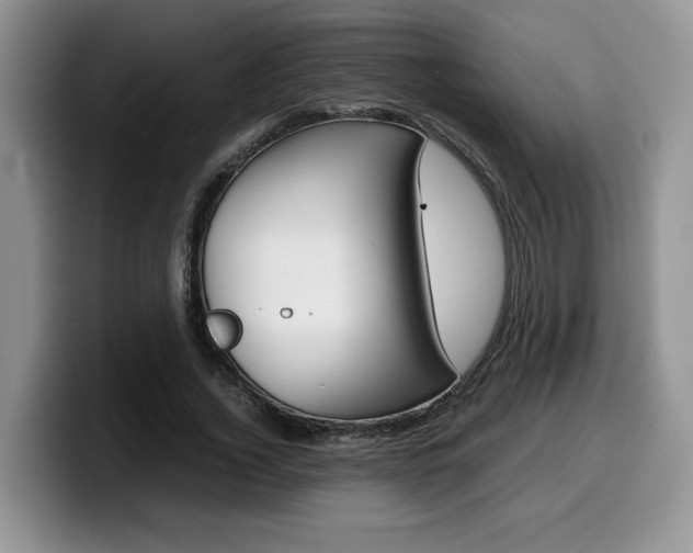 X0000100230732200805300724