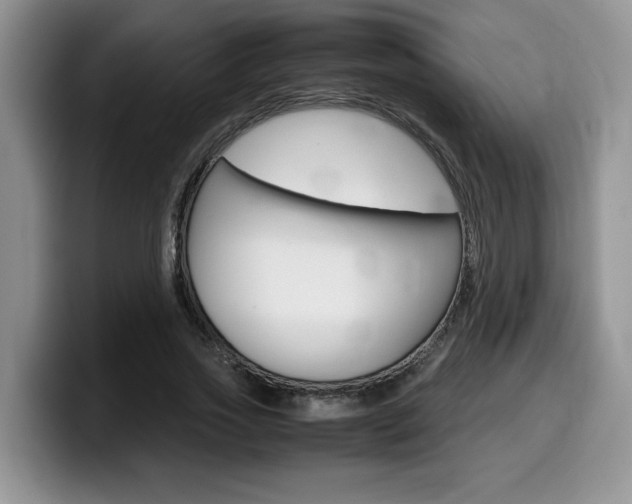 X0000100230733200805300724