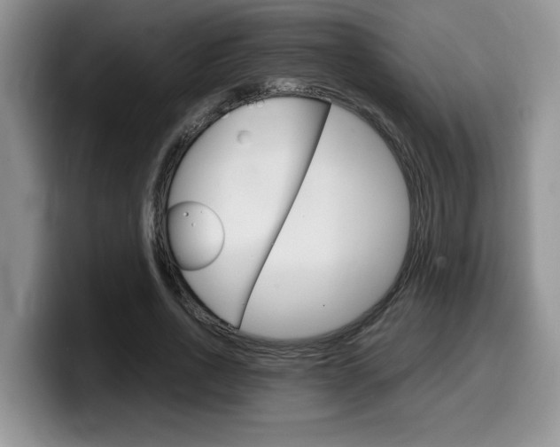 X0000100230734200805300724