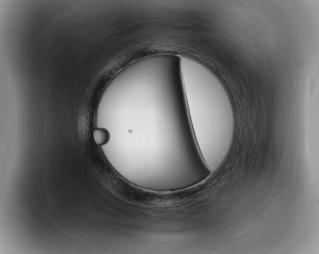 X0000100230735200805300724