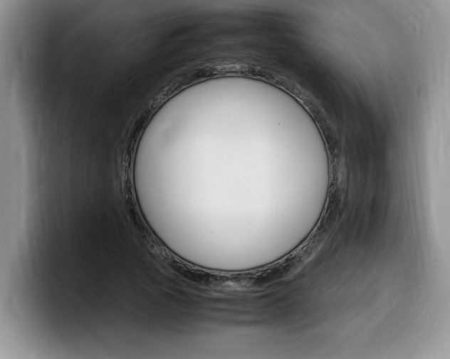 X0000100230737200805300724