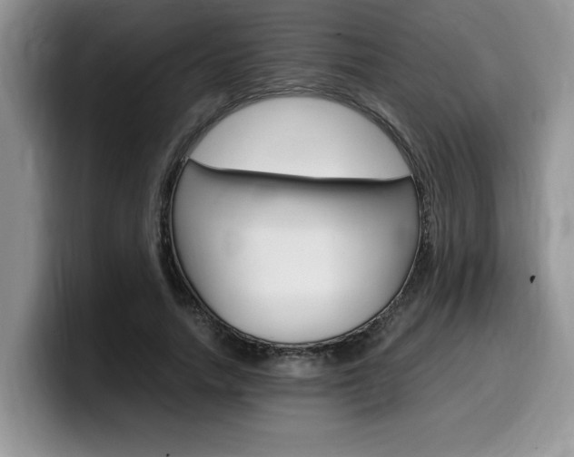 X0000100230738200805300724