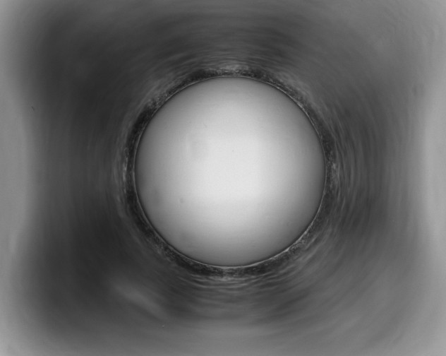 X0000100230739200805300724