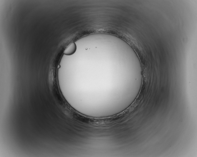 X0000100230740200805300724