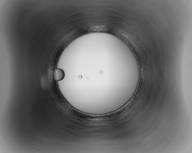 X0000100230741200805300724