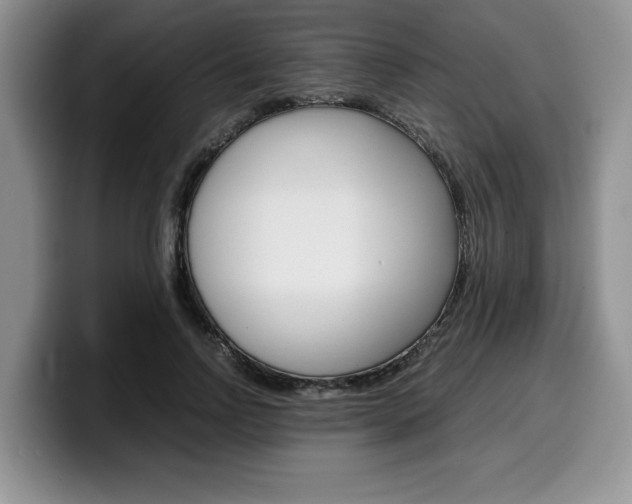 X0000100230742200805300724