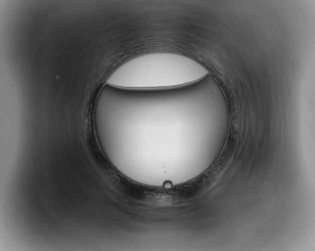 X0000100230743200805300724