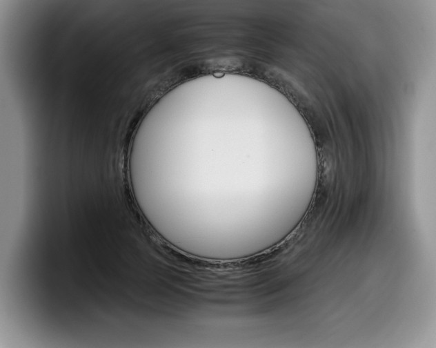 X0000100230745200805300724