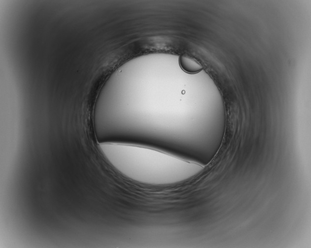 X0000100230747200805300724