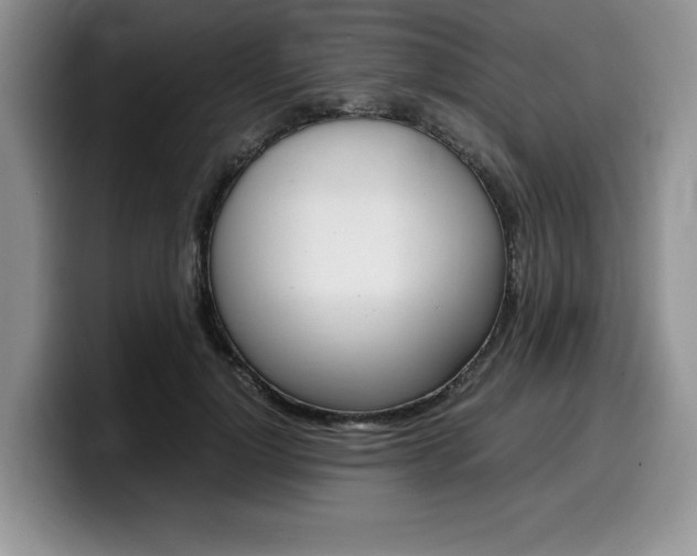 X0000100230748200805300724