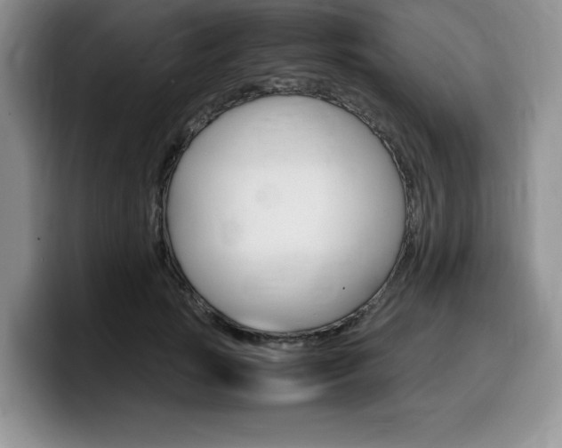 X0000100230749200805300724