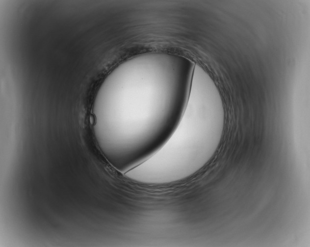 X0000100230750200805300724