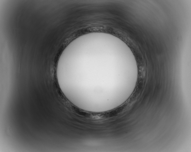 X0000100230753200805300725