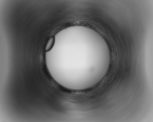 X0000100230754200805300725