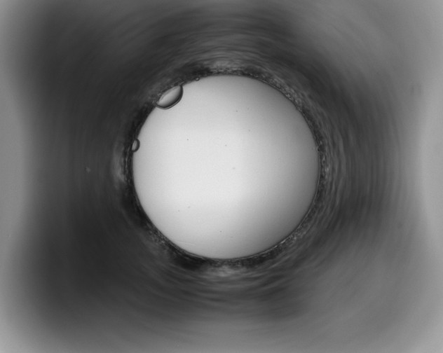 X0000100230755200805300725