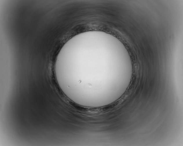 X0000100230757200805300725