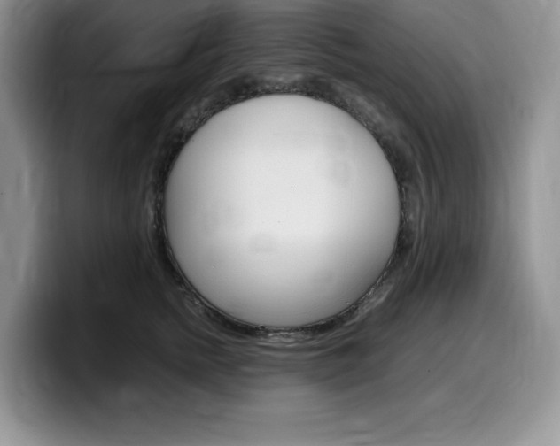 X0000100230758200805300725
