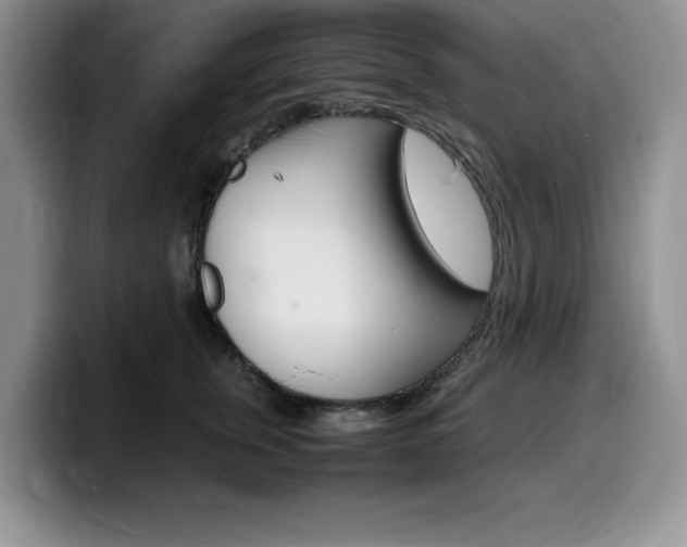X0000100230759200805300725