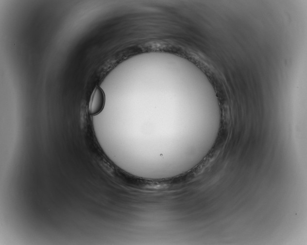 X0000100230760200805300725