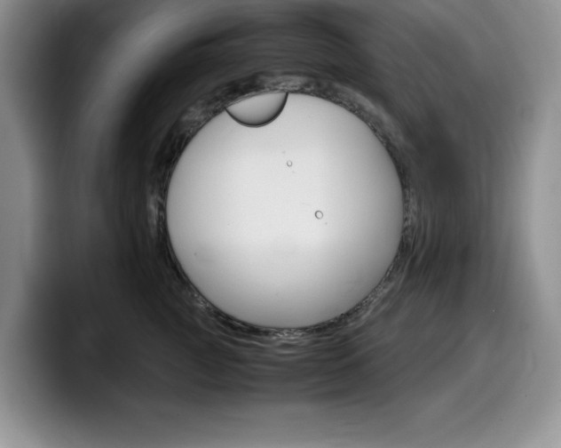 X0000100230761200805300725